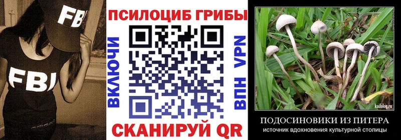 Галлюциногенные грибы Psilocybine cubensis  это как зайти  Тулун 